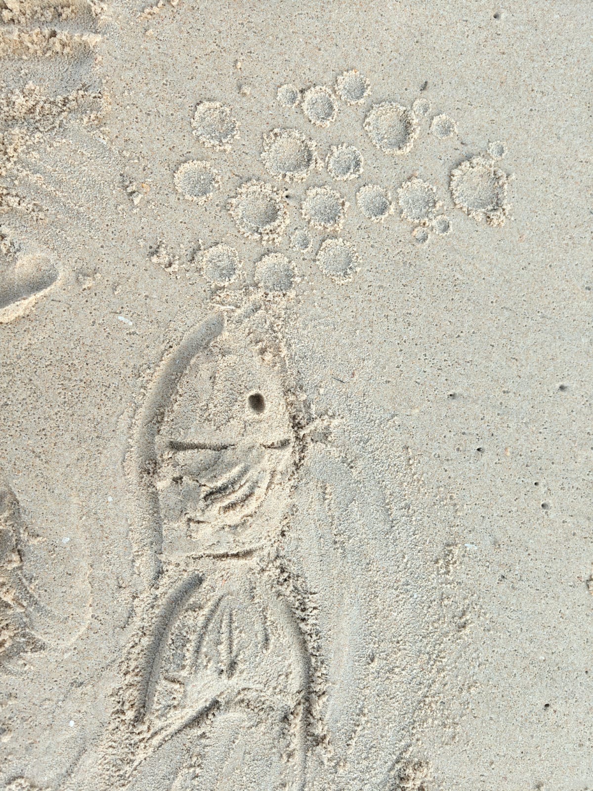 A fish and its bubbles drawn into wet sand on a beach.